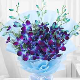 hcS3bBX4xx1758599912308