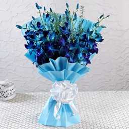 3924a2bd0473452a9bf873101e7e9f15