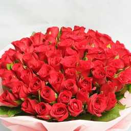 PUwWo1GjMz1726642121841