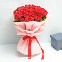 Aer6UjSD7p1726642121840