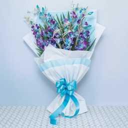 9127c860bc8b4901916cefbcfc9455e2