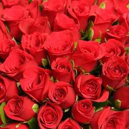 gVsK7qpZNa1726642121844