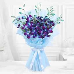 ob7q8ewBZK1758599912308