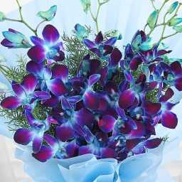 GY0xG5UpMj1758599912310