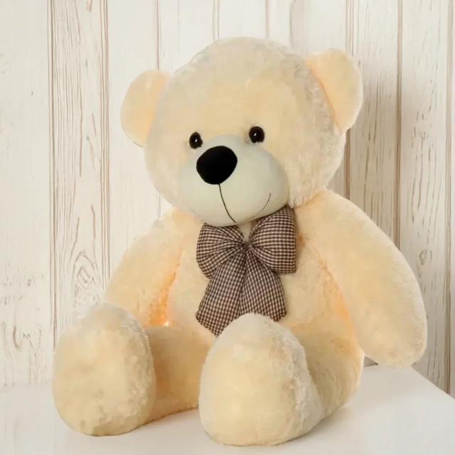 Large Teddy Bear Love