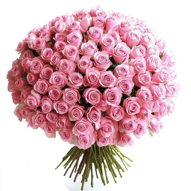 Bunch of 100 Pink Roses Bouquet 