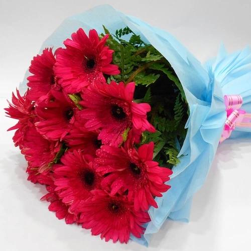Serene Beauty A bunch of Pink Gerbera flowers Bouquet 